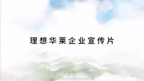新能源电力公司的是什么职业类型